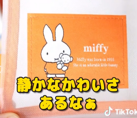 静かにかわいいうさ子ちゃんステーショナリーケース✨  Tiktok更新しました。