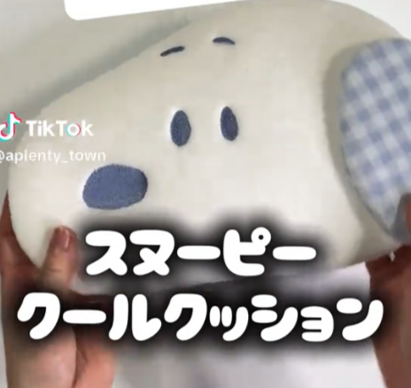 夏本番にかわいいスヌーピーのひんやりグッズ  Tiktok更新しました。