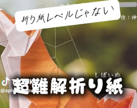 もうそんなレベルじゃない 超難解折り紙‼️   Tiktok更新しました。